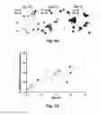 Fig. 09 - LENTIVIRAL VECTOR FOR STEM CELL GENE THERAPY OF SICKLE CELL DISEASE