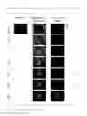Fig. 09 - Fluorescent probe for detecting dipeptidyl peptidase IV