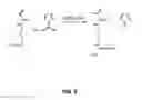 Fig. 06 - In situ solidifying complex coacervates and methods of making and using thereof