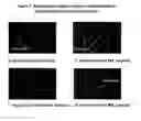 Fig. 03 - Acellular bioabsorbable tissue regeneration matrices