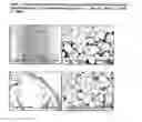 Fig. 07 - Acellular bioabsorbable tissue regeneration matrices