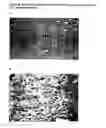 Fig. 44 - Acellular bioabsorbable tissue regeneration matrices