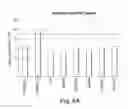 Fig. 07 - TISSUE TRANSPLANT COMPOSITIONS AND METHODS FOR USE