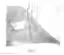 Fig. 02 - Fixation devices for tissue repair