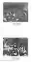 Fig. 08 - Fixation devices for tissue repair