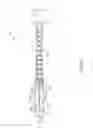 Fig. 06 - Safety syringe and needle shield