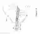 Fig. 07 - Safety syringe and needle shield