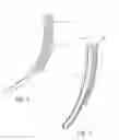 Fig. 03 - Device for gripping and directing bougies for intubation