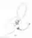 Fig. 07 - Device for gripping and directing bougies for intubation