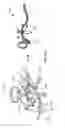 Fig. 41 - Input and articulation system for catheters and other uses