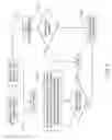 Fig. 07 - Systems, protective casings for smartphones, and associated methods to enhance use of an automated external defibrillator (AED) device