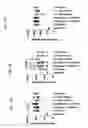 Fig. 06 - LASER ADJUVANTS FOR ENHANCING IMMUNE RESPONSE