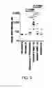 Fig. 12 - LASER ADJUVANTS FOR ENHANCING IMMUNE RESPONSE