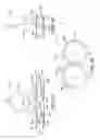 Fig. 19 - Nasal device with air filter