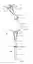 Fig. 02 - Golf tee with ball support