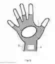 Fig. 04 - Wearable device comprising one or more impact sensors