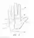 Fig. 03 - Catcher's Glove