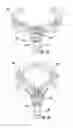 Fig. 08 - Toy apparatus