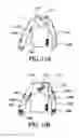 Fig. 11 - Sigils for use with apparel