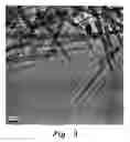 Fig. 04 - Method of synthesizing manganese oxide nanocorals