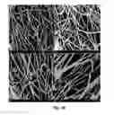 Fig. 11 - Elastic membrane-based membrane bioreactor with high-efficiency for fouling control