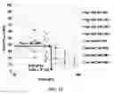 Fig. 17 - Process control systems and methods for use with filters and filtration processes