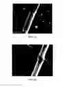 Fig. 08 - Electrospun cactus mucilage nanofibers
