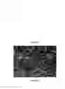 Fig. 10 - Electrospun cactus mucilage nanofibers