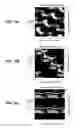 Fig. 11 - Method for multi-axis, non-contact mixing of magnetic particle suspensions
