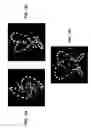 Fig. 13 - Method for multi-axis, non-contact mixing of magnetic particle suspensions