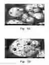 Fig. 04 - Method for making carbonaceous sponge-like sorbent
