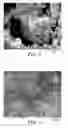 Fig. 02 - Porous articles for separation