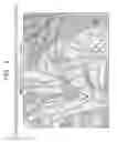 Fig. 06 - Methods of preparing self-decontaminating surfaces using quaternary silanes and titanium anatase sol