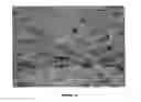 Fig. 13 - Solder flux
