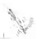 Fig. 02 - Fastener driving system