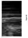 Fig. 05 - Filler for a surface-treatment composition