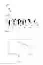 Fig. 06 - METHOD FOR PRODUCING THREE-DIMENSIONAL OBJECTS BY RAPID PROTOTYPING WITH INCREASED EFFICIENCY