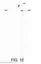Fig. 04 - COMPOSITE STIFFENER