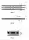 Fig. 02 - Cooking utensil having a graphite core