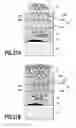 Fig. 32 - TRANSFER MATERIAL, PRINTED MATERIAL, AND MANUFACTURING METHOD FOR PRINTED MATERIAL