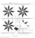 Fig. 18 - Repeat pattern surface marking system and kit
