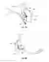 Fig. 10 - Trophy mount and skull clamp