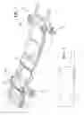 Fig. 03 - AIR SUSPENSION INDVIDUAL CORNER CONTROL TO OPTIMIZE TRACTION