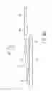 Fig. 10 - LIGHTING SYSTEM FOR A VEHICLE SUN VISOR