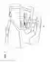 Fig. 02 - Vehicle interior illumination device