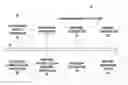 Fig. 01 - Vehicle acceleration determination