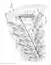 Fig. 07 - Aerodynamic drag reducing apparatus