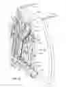 Fig. 10 - Aerodynamic drag reducing apparatus