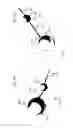 Fig. 16 - Mooring system and mooring buoy