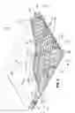 Fig. 06 - Composite accoustical panels especially useful for interior panel assemblies of aircraft passenger cabins
